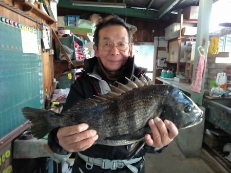 ふじや釣舟店 釣果