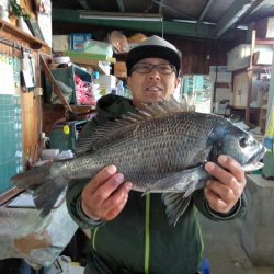 ふじや釣舟店 釣果