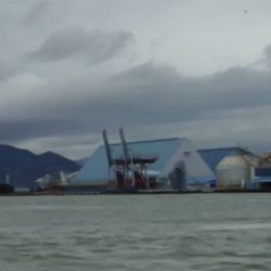 ふじや釣舟店 釣果