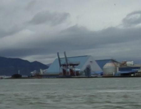 ふじや釣舟店 釣果