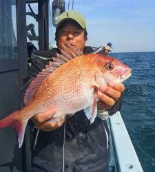 東京湾探釣隊ぼっち 釣果