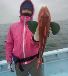 東京湾探釣隊ぼっち 釣果