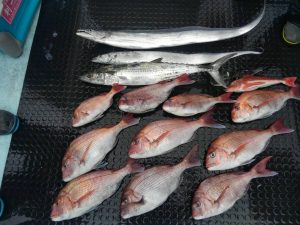 東京湾探釣隊ぼっち 釣果