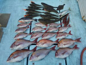 東京湾探釣隊ぼっち 釣果