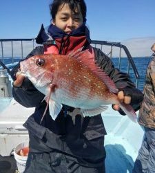 東京湾探釣隊ぼっち 釣果