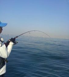 東京湾探釣隊ぼっち 釣果