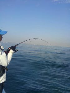 東京湾探釣隊ぼっち 釣果