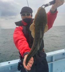 東京湾探釣隊ぼっち 釣果