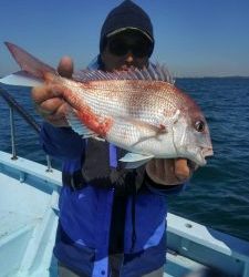 東京湾探釣隊ぼっち 釣果