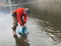 秩父フライフィールド 釣果