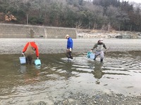 秩父フライフィールド 釣果