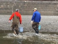 秩父フライフィールド 釣果