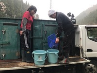 秩父フライフィールド 釣果