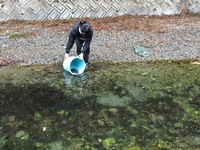 秩父フライフィールド 釣果