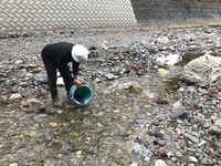 秩父フライフィールド 釣果