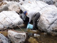 秩父フライフィールド 釣果