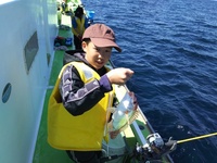 なごみ船 釣果