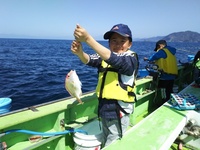 なごみ船 釣果