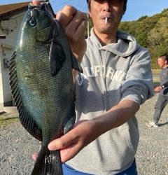 千津丸 釣果