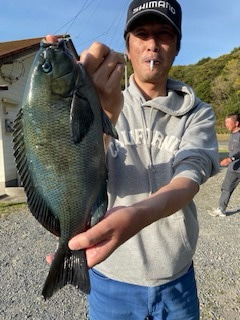 千津丸 釣果