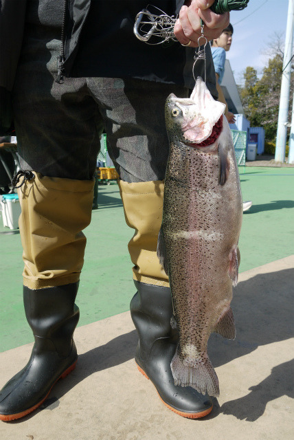 としまえんフィッシングエリア 釣果
