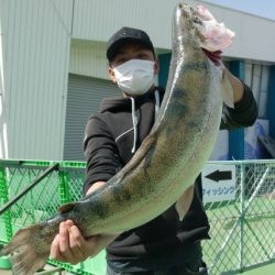 としまえんフィッシングエリア 釣果