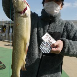 としまえんフィッシングエリア 釣果