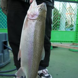 としまえんフィッシングエリア 釣果