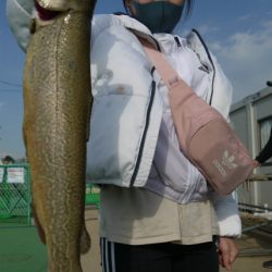 としまえんフィッシングエリア 釣果