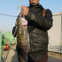 としまえんフィッシングエリア 釣果