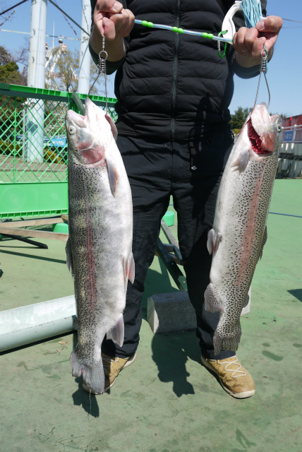 としまえんフィッシングエリア 釣果