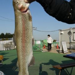 としまえんフィッシングエリア 釣果