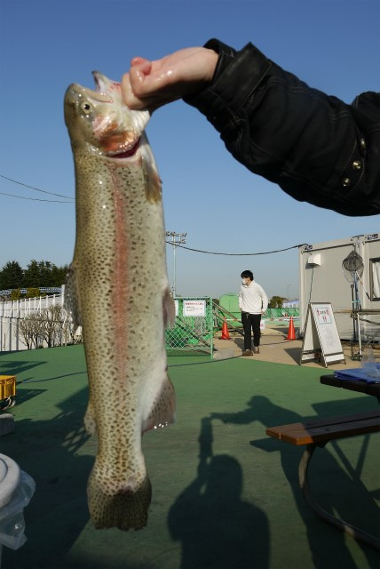 としまえんフィッシングエリア 釣果