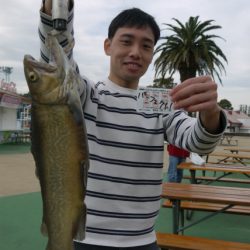 としまえんフィッシングエリア 釣果