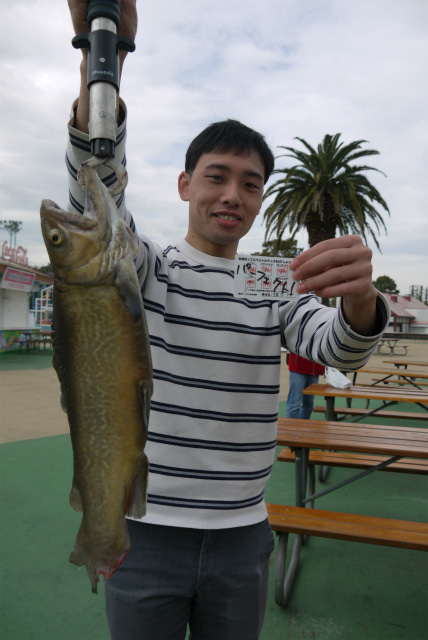 としまえんフィッシングエリア 釣果