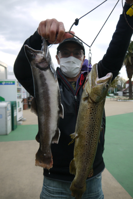 としまえんフィッシングエリア 釣果