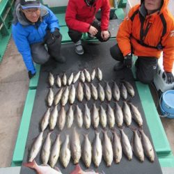 真祐丸 (しんゆうまる) 釣果