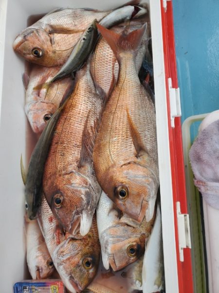 海晴丸 釣果