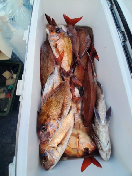 海晴丸 釣果