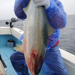 海晴丸 釣果