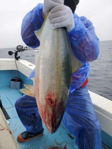 海晴丸 釣果