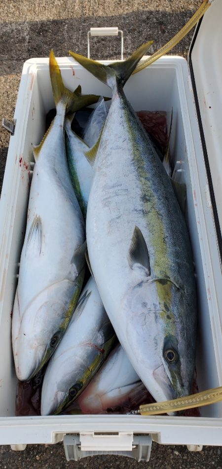 LUSTER『ラスター』 釣果