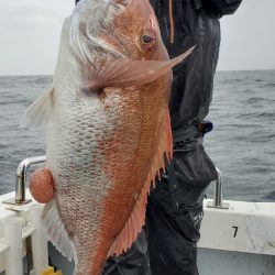 LUSTER『ラスター』 釣果