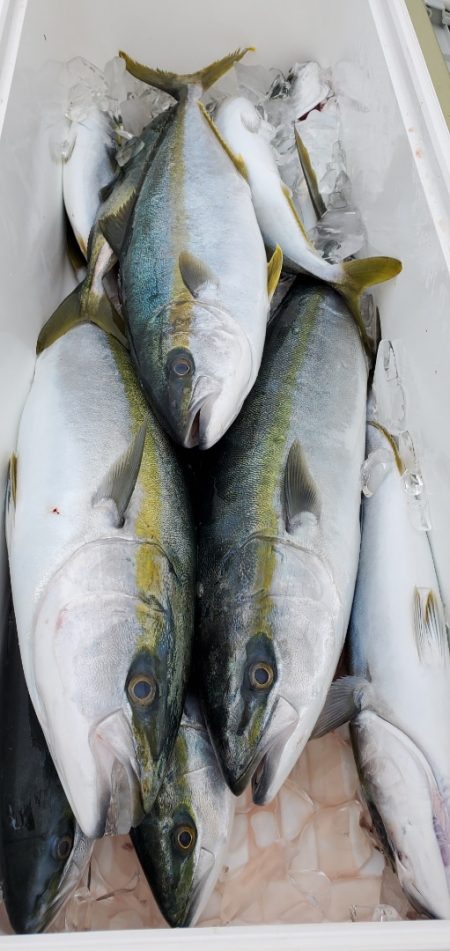 LUSTER『ラスター』 釣果