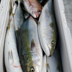 LUSTER『ラスター』 釣果