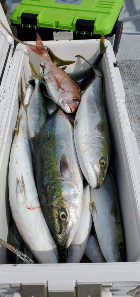 LUSTER『ラスター』 釣果