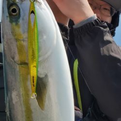 サンマリン 釣果