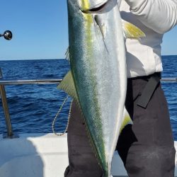 LUSTER『ラスター』 釣果