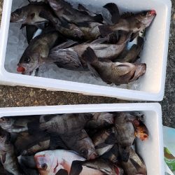 海龍丸（石川） 釣果