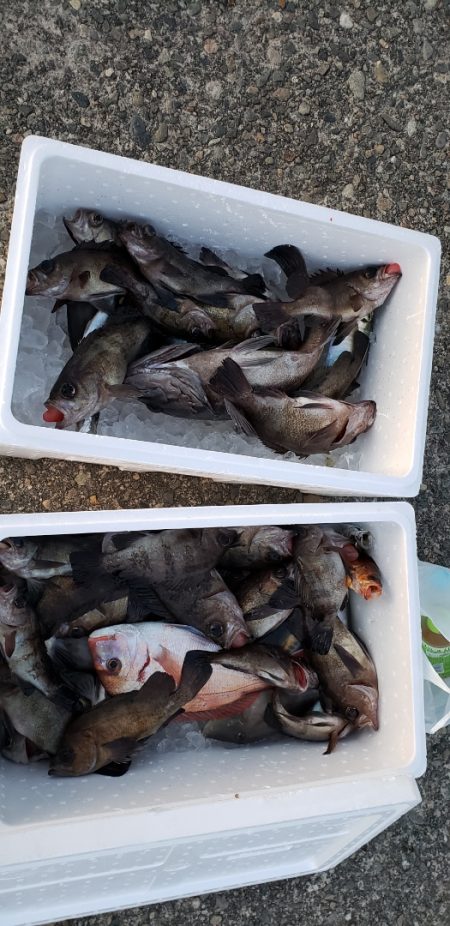 海龍丸（石川） 釣果